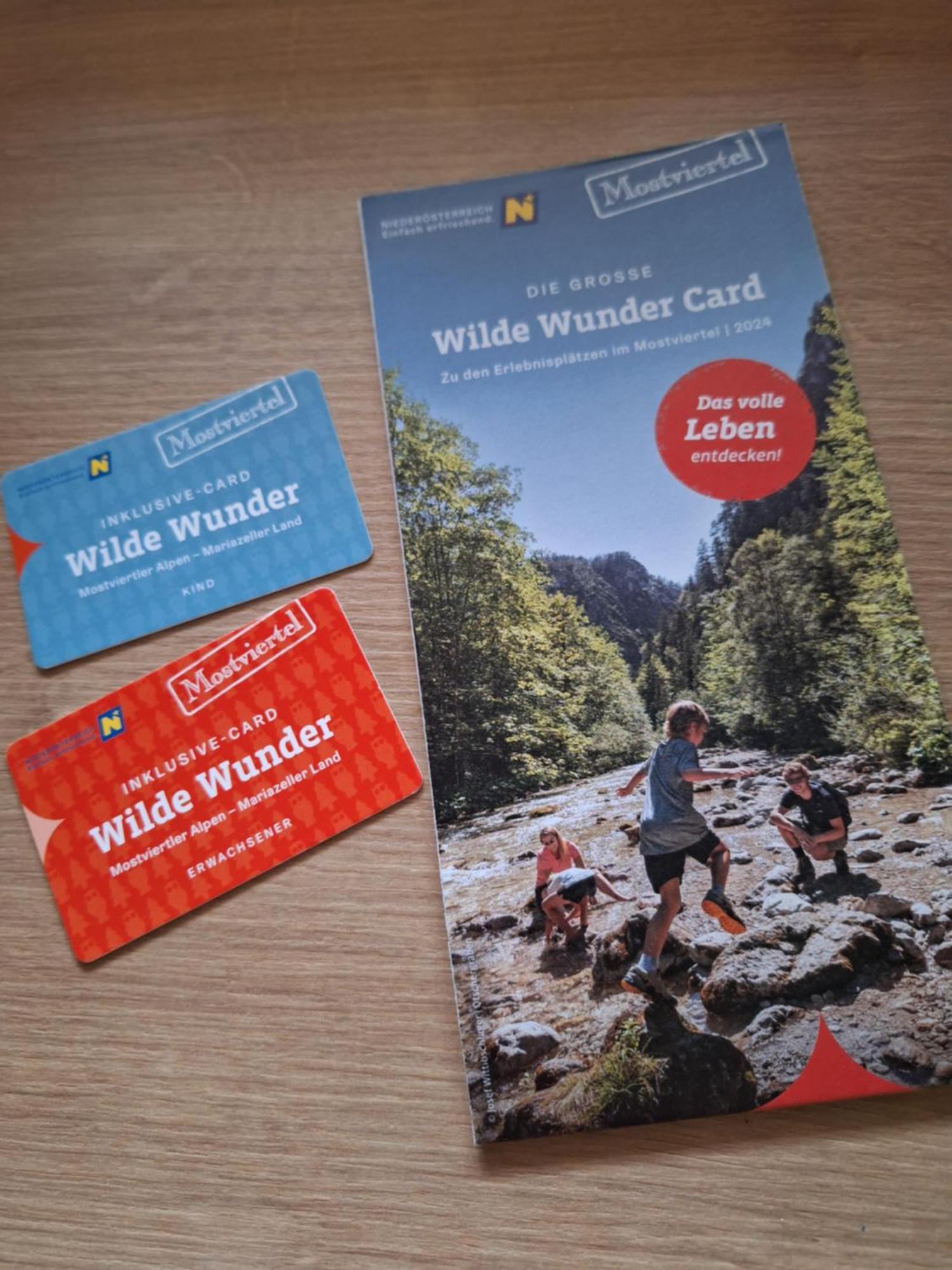 Oetscherblick Fam Winter Frankenfels Eksteriør billede